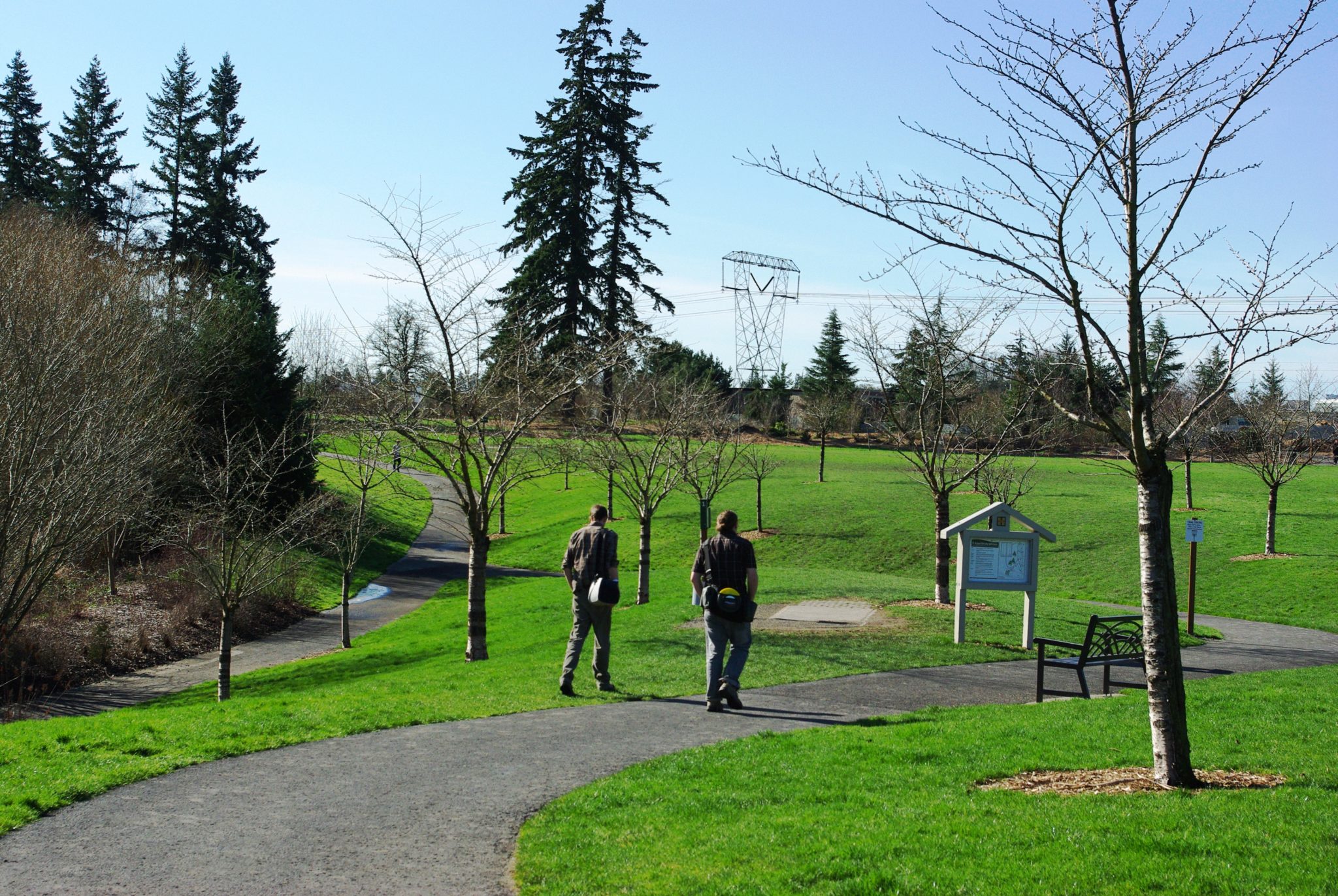 Top 5 Great Disc Golf Courses On The Westside Impact Physical Therapy