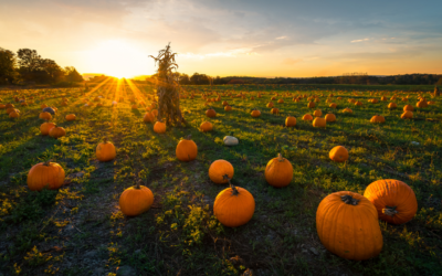 3 Farms and Exercises to Try in September